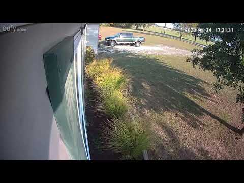 Bee attacks security camera