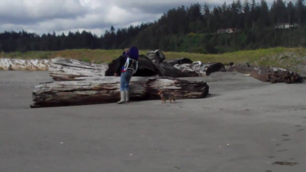 Baby running Kala Point