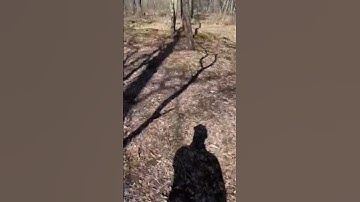 REPAIRING / REPLACING a MOCK SCRAPE - It really works #shorts