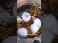 Healthy Abacha Without Ngu or Potash | Perfect for Pregnant Women