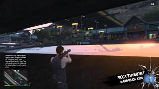New Palomino freeway bridge wall breach on GTA V screenshot 4
