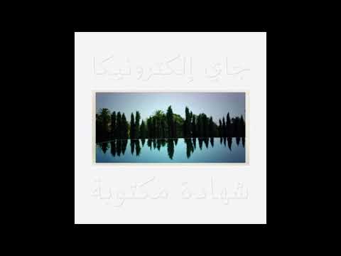 Jay Electronica - Universal Soldier (Ft. Jay-Z) [A Written Testimony]