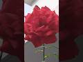ফুলের রানী#pianting#shortsvideo #nature