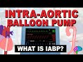 What is an intraaortic balloon pump iabp