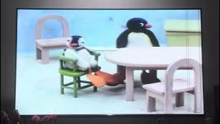 Pingu VCD Promo, Berjaya HVN Sdn. Bhd. Logo with Warning & For General Viewing