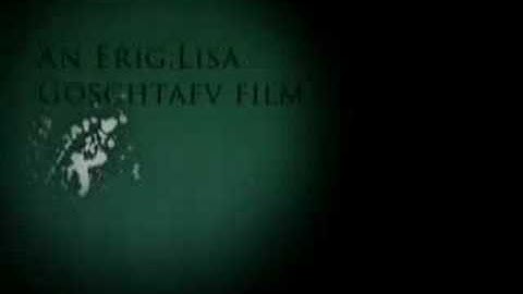 Intro made in Adobe After Effects CS3