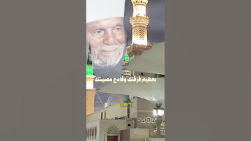 السلام عليك يا سيدي يا رسول الله الشيخ الشعراوي بدون موسيقي تيك توك ترند لايك 