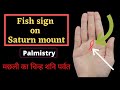 Fish On Saturn mount | Business Job | Palmistry | मछली का चिन्ह शनि पर्वत