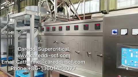 Model 150Lx2 Supercritical CO2 extraction machine for CBD oil