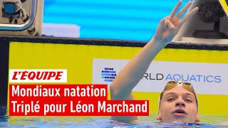 3 titres mondiaux en une semaine pour Léon Marchand : Prestation bluffante ?