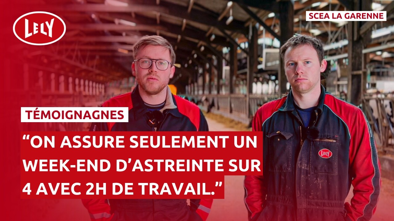 Deux frères à la tête de 330 vaches : le rôle stratégique du Lely Vector.