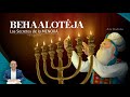 ZOHAR BEHAALOTÉJA - Secretos Cabalísticos de la MENORÁ.