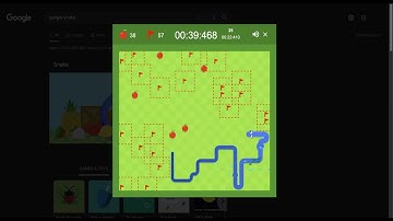 Google Snake Minesweeper World Record Large 5 Apples