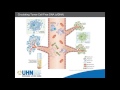 Tracy Stockley - Variant detection in cell-free DNA from NSCLC using NGS