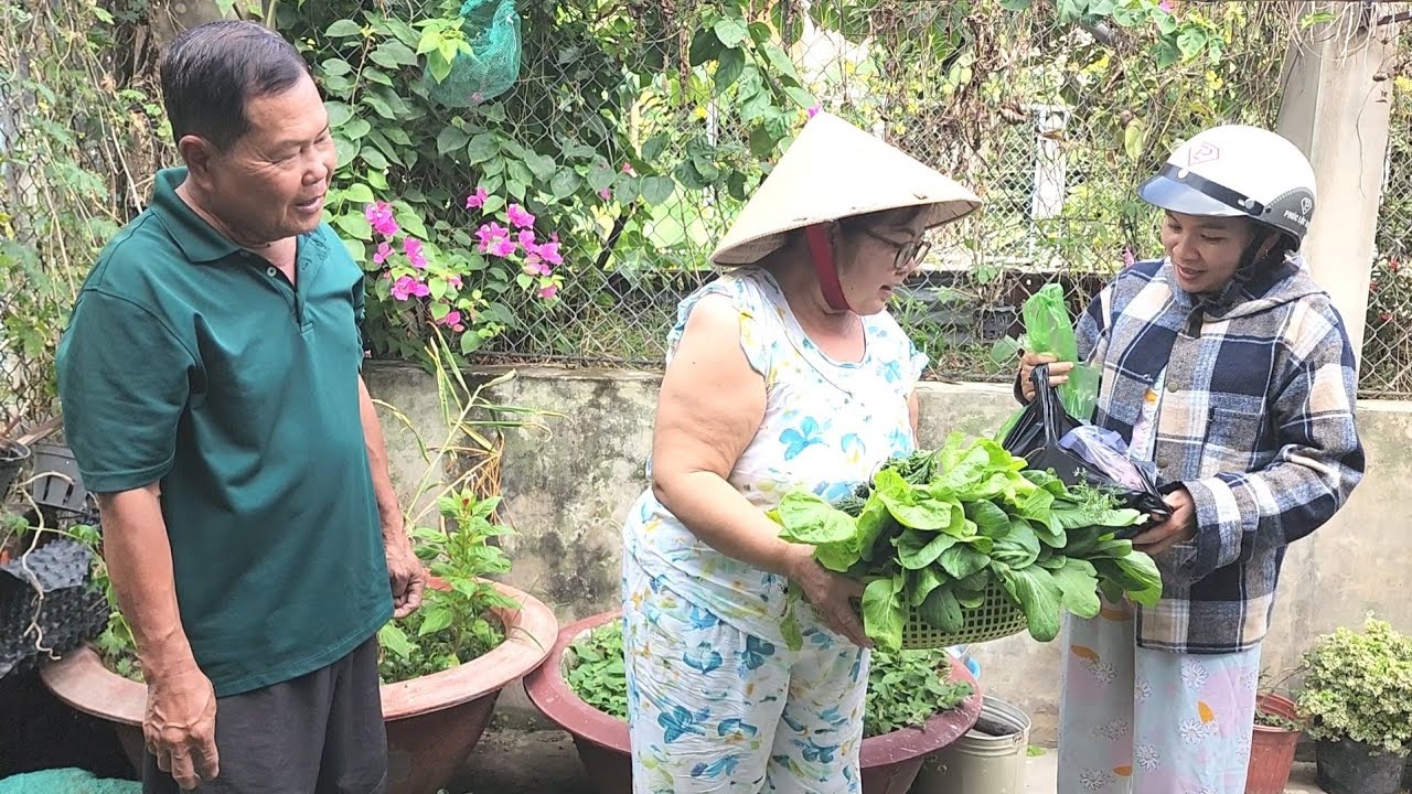Thấy Ba Mẹ Chồng Thu Hoạch Vườn Rau Con Dâu Liền Ghé Tặng Miếng Sườn Non Tươi Rói | BQCM & Family