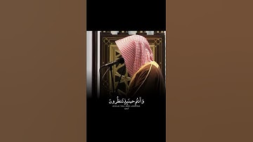 ما تيسر من سورة الواقعة بصوت الشيخ ناصر القطامي 🤍😴
