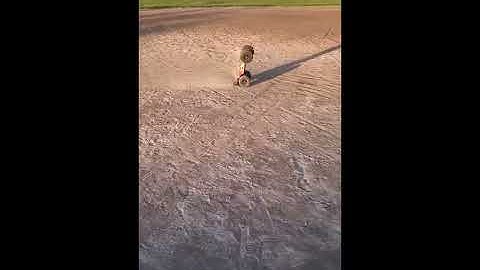 Arrma Talion part 2 with castle creation mamaba monster 2 #rccar #drift #trending