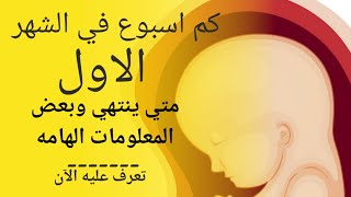 الشهر الاول من الحمل كم أسبوع | تطور الحمل والجنين في الشهر الاول | في اي اسبوع ينتهي الشهر الاول