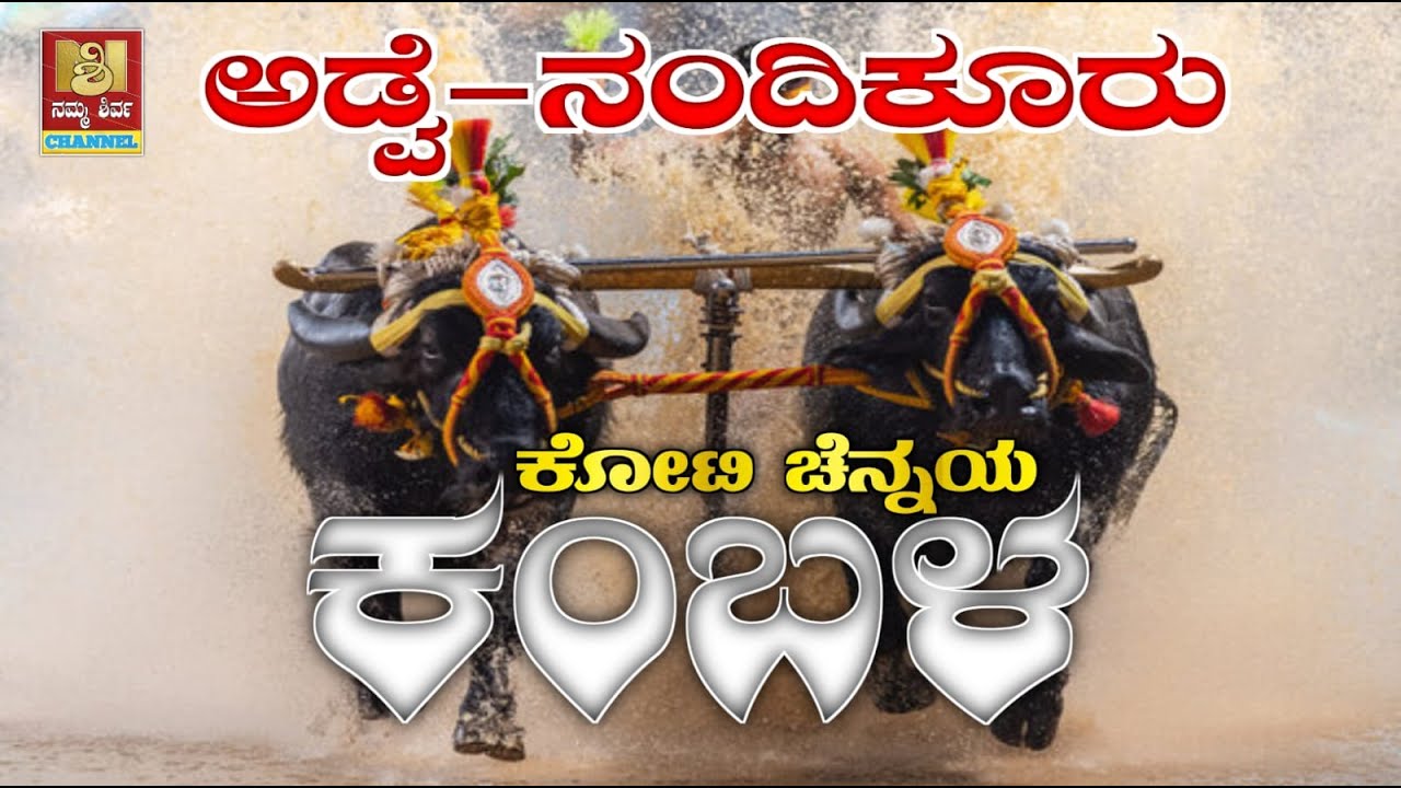 ಅಡ್ವೆ ನಂದಿಕೂರು ಹೊನ್ನಲು ಬೆಳಕಿನ  ಕೋಟಿ ಚೆನ್ನಯ ಜೋಡು ಕರೆ ಕಂಬಳ ||  ADVE NANDIKURU KOTI CHENNAYA KAMBALA