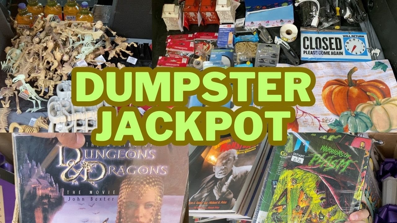DUMPSTER DIVING Amazing HAUL from Retail Stores! YouTube
