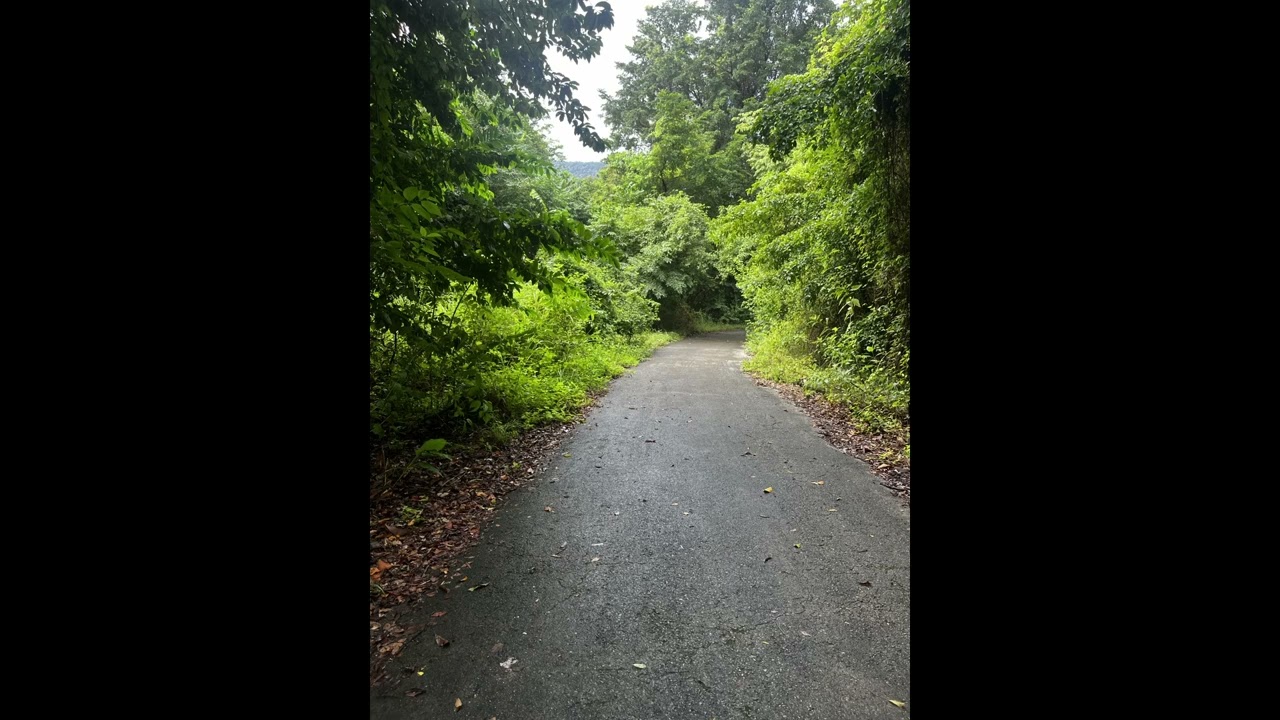 ''LEFT VIEW'' -  Prod by FRZN