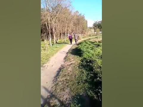 Пенсионер краде борче от парк Лаута - YouTube