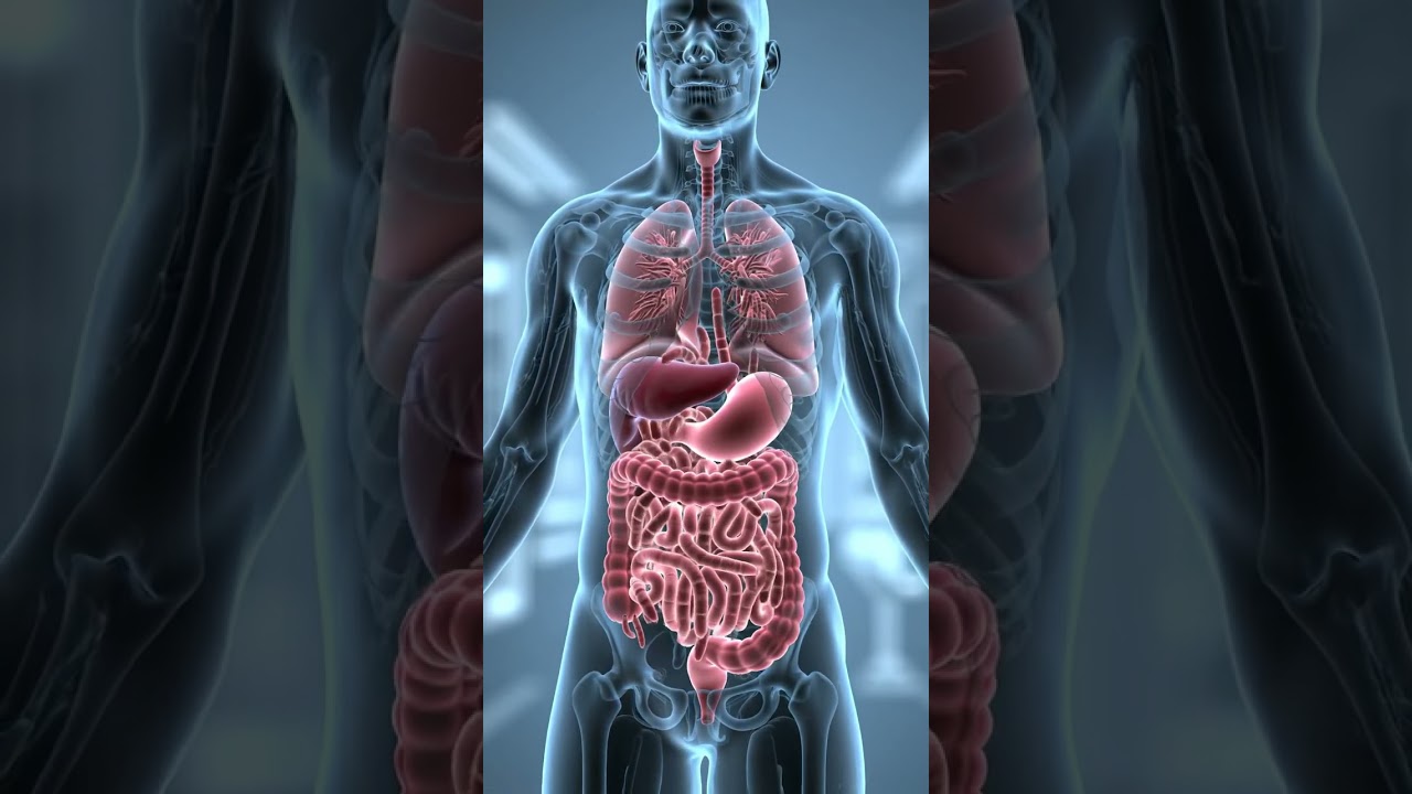 3D Digestive System Animation with Parasites | Shocking Visual of Worm Infestation in Human Body