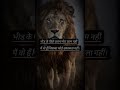 Verse of victory motivational chennal #fypシ゚viral #fypシ゚viral #motivation #motiationalspeech #lion