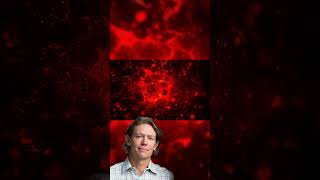 Mirror Life: The Silent Threat You Need to Know 🚨