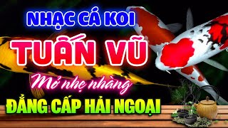 Ngắm Cá Koi Nghe Nhạc Không Lời Buổi Sáng - Hòa Tấu LK Tuấn Vũ Hải Ngoại - Nhạc Phòng Trà Sang Trọng