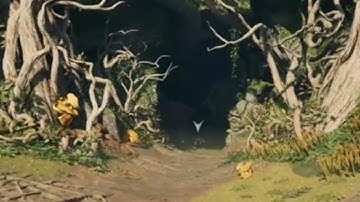 Avowed - Find the Strangleroot (Message from Afar)