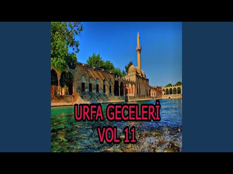 Ne Feryat Edersin