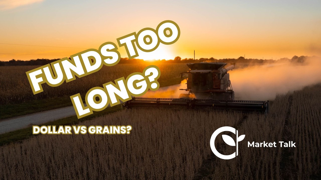 Did Two Freight Trains Just Collide in the Grain Market?