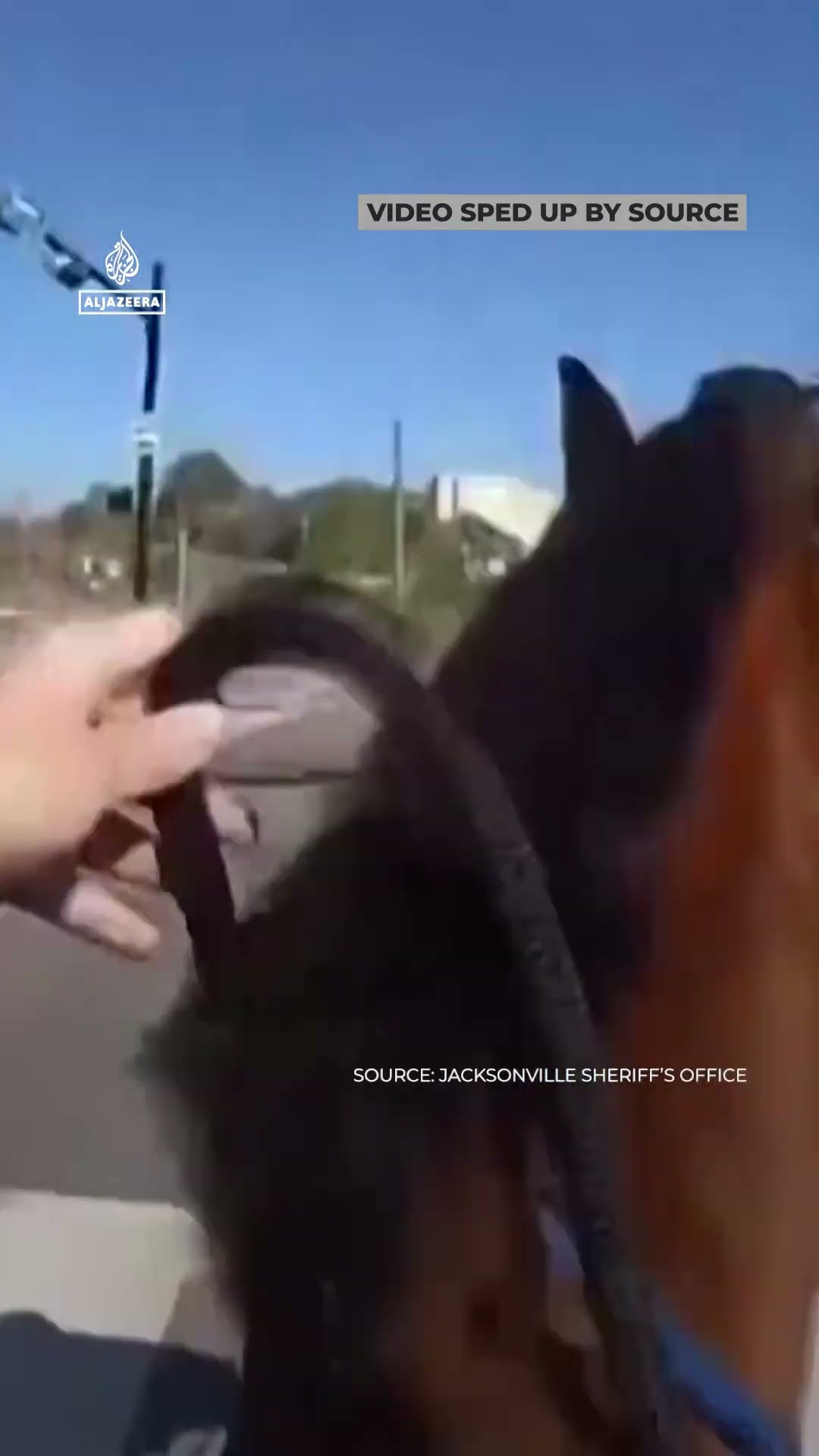 Florida police catch suspected drug dealer on horseback
