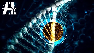 Protein Structure Prediction (Biology)