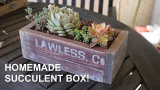 Here is one way how to make a cool succulent planter box. People are making planter boxes a variety of different ways but here is 