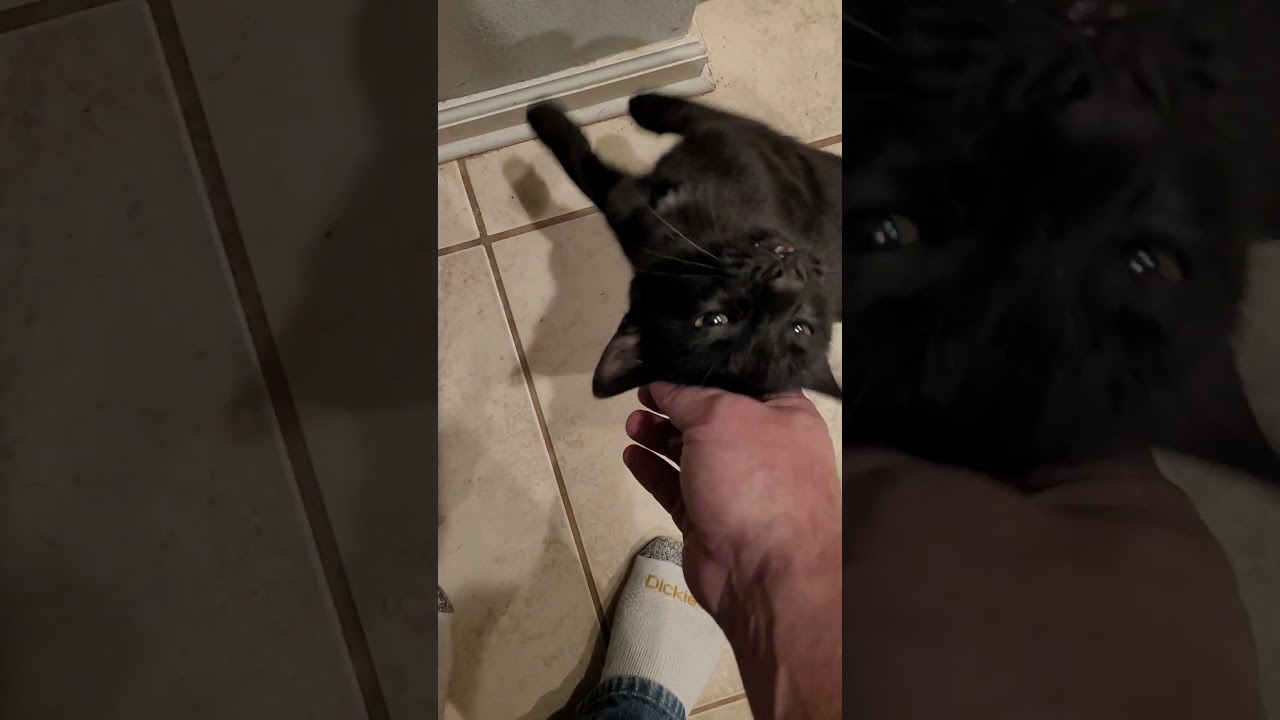 Примите дискомфорт, чтобы добиться истинного роста!