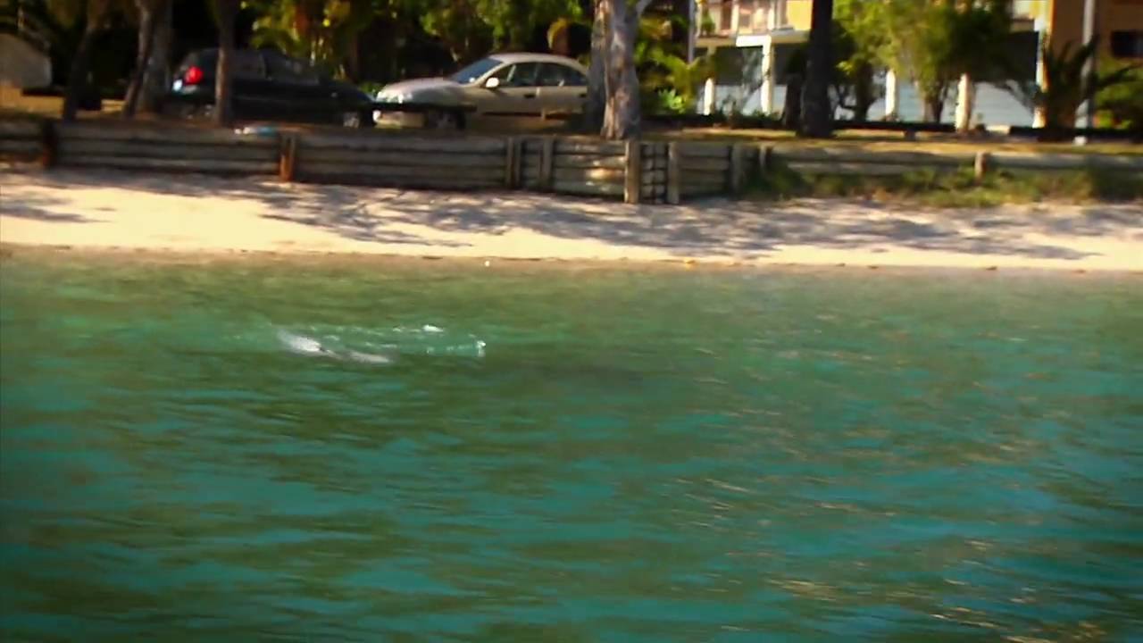 REOL Property Consultants Palm Beach Suburb Profile