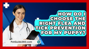 How Do I Choose The Right Flea And Tick Prevention For My Puppy? - PetGuide360.com
