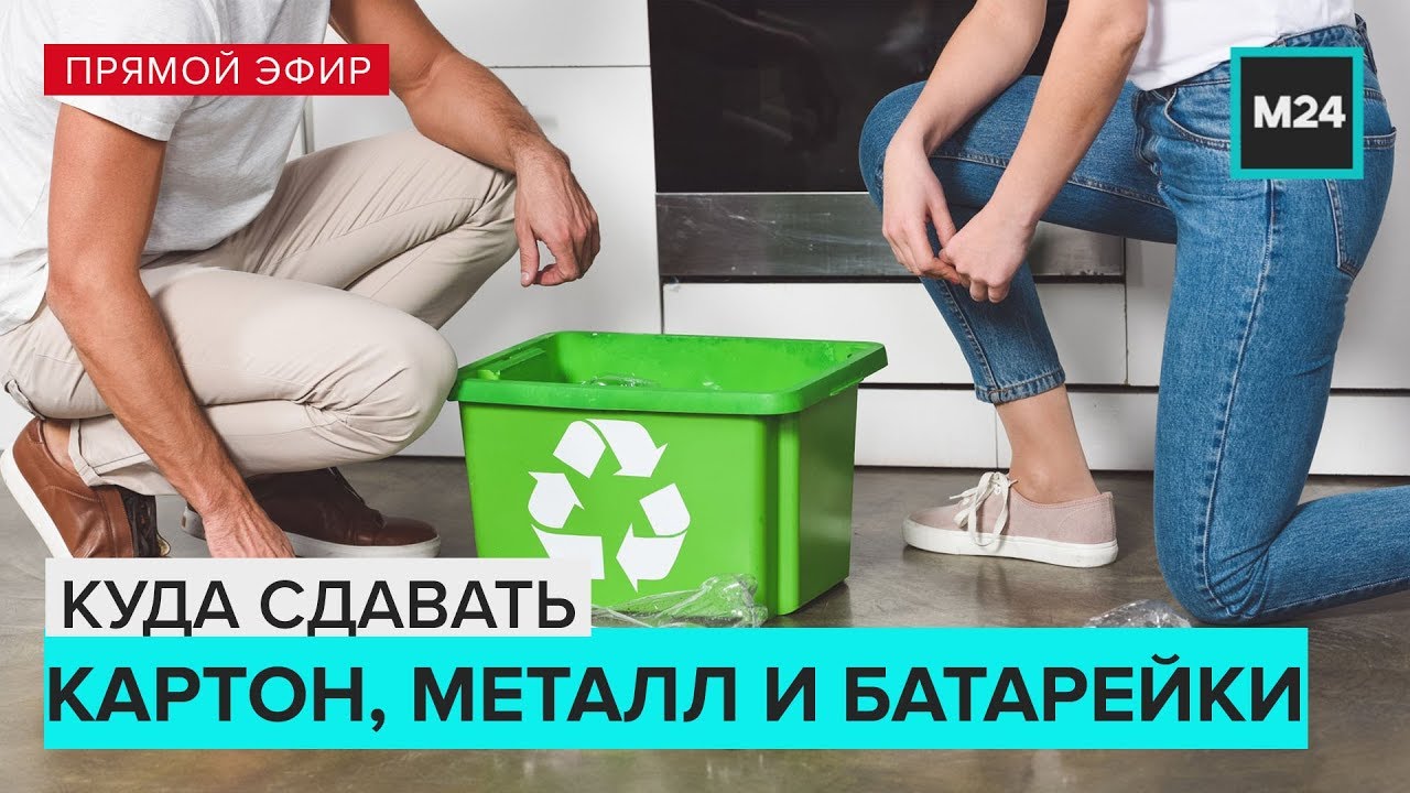 Куда сдают лисички перекупщики
