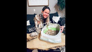 Best Maine Coon Cat Litter Box System Ever - Part 2