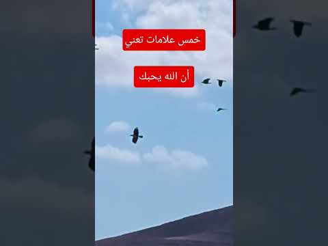  اكسبلور صبرو صلوا على النبي ترند  تيك توك لايك