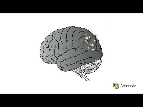 Neuropixels Technology Helping to Unlock New Insights on Parkinson's Disease