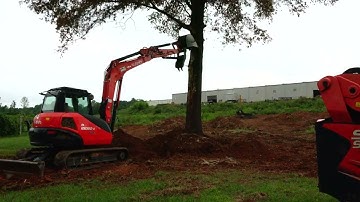 Tree Puller VS Pin Oak Round 2