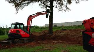 Tree Puller VS Pin Oak Round 2 @EverythingAttachments