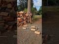 nice chops #father #firewood #homeworkout #woodsplitting #diy