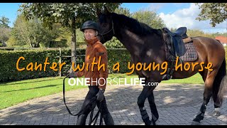 OneHorseLife TV: Step by step canter preparation for a young horse