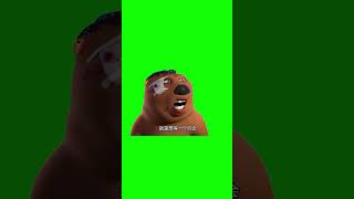 Green Screen Chinese Beaver Meme #greenscreen