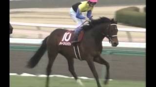 [競馬] 2005/03/06　弥生賞 ディープインパクト