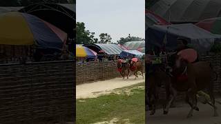 Super Malind0s hutantivirus karapansapi2026 shortviral